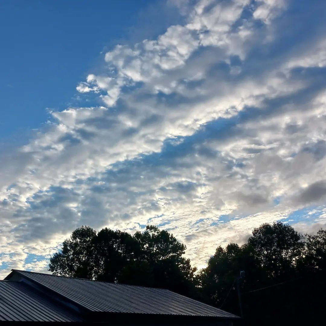 Nancy Shelton's album, Timeline photos