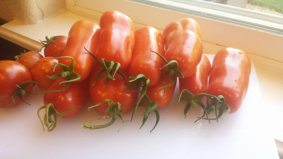 One thing I like about the San Marzanos is they're stackable!