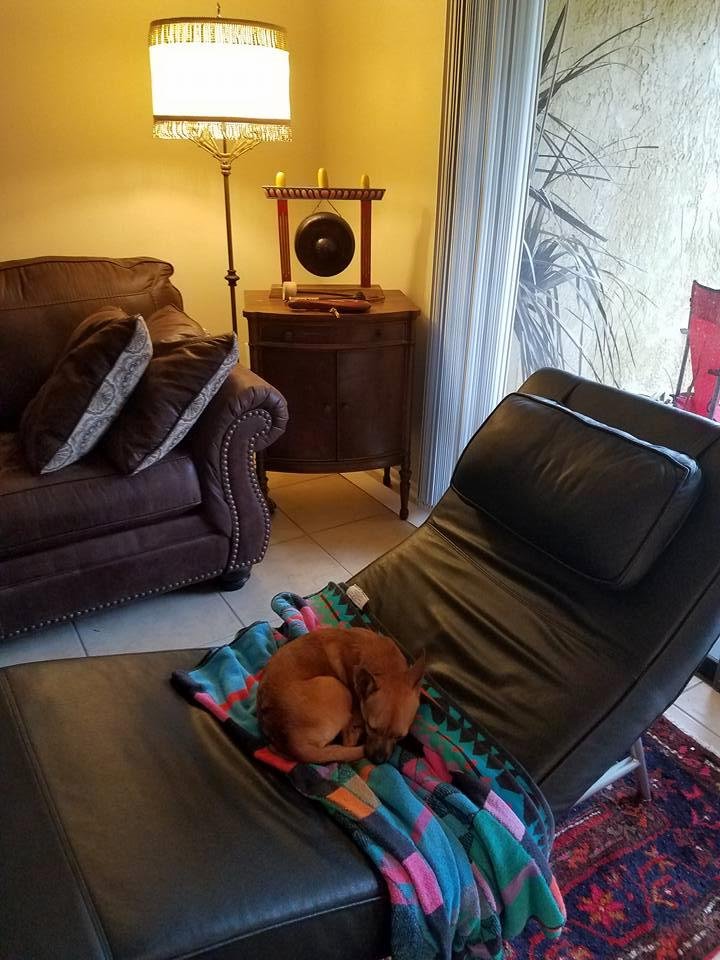 Little Red on the  couch for his usual Friday afternoon psychoanalytical session.  Or would a mere nap be just as useful?  Probably.  What's the old saying?  Oh, I remember...Let sleeping dogs lie.  It's the same for their 