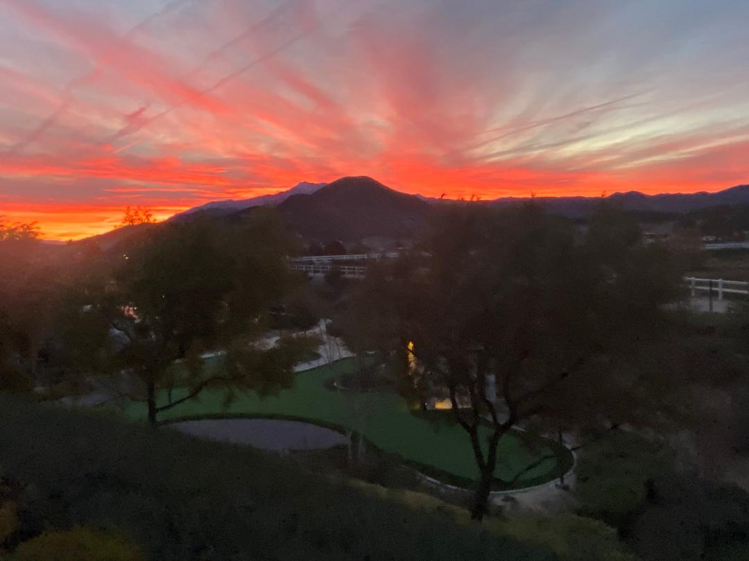 John Morgan's album, Mobile uploads
