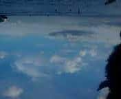 Suzanne Ledoux's album, Mobile Uploads