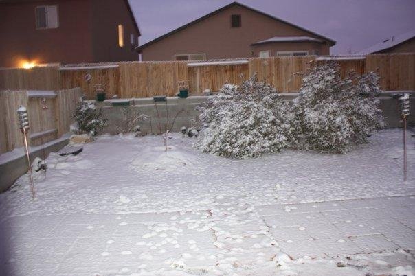 This snow fall is light compared to last year...where we got up to 4 inches of snow and were snowed in for over a week. But...it's almost time to head to work.
