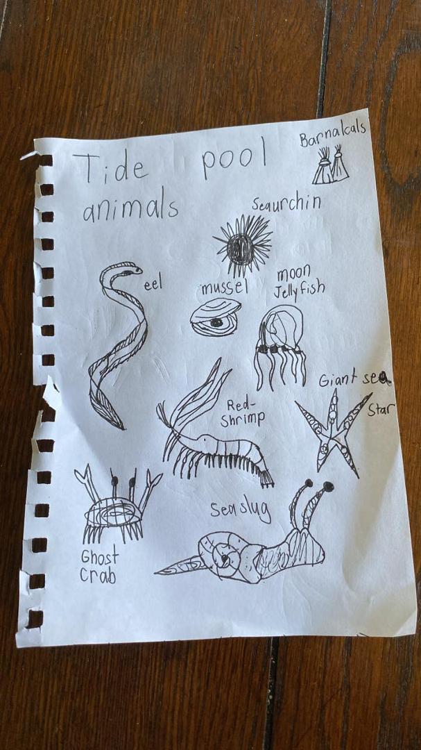 The amazing work of a six year-old - Corban Engbrecht
