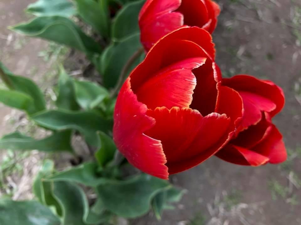 Aaron Hudson's album, Mobile Uploads
