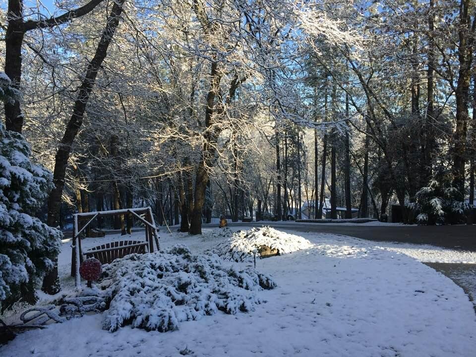 Cindy Anderson's album, Timeline Photos