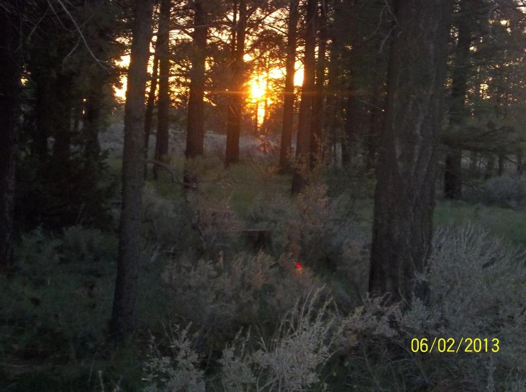 Cindy Barton's album, Timeline Photos