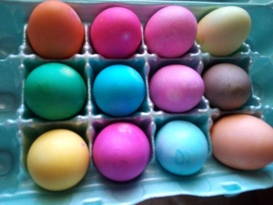Happy Easter everyone !