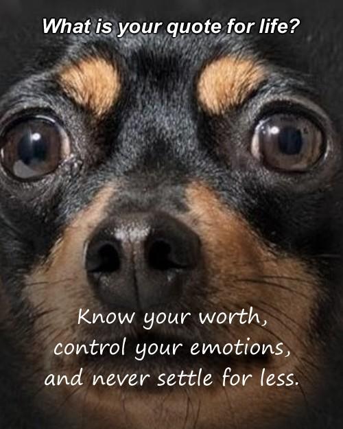 CONNIE ROACH (HOULE)'s album, Timeline photos