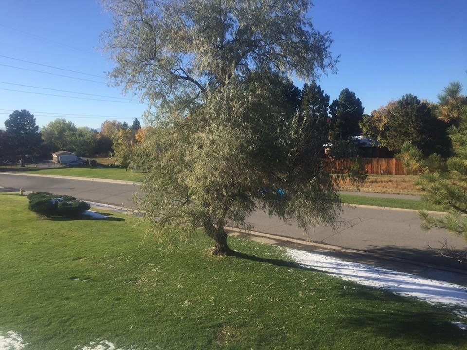 24 hours after 6 inches of snow.😀