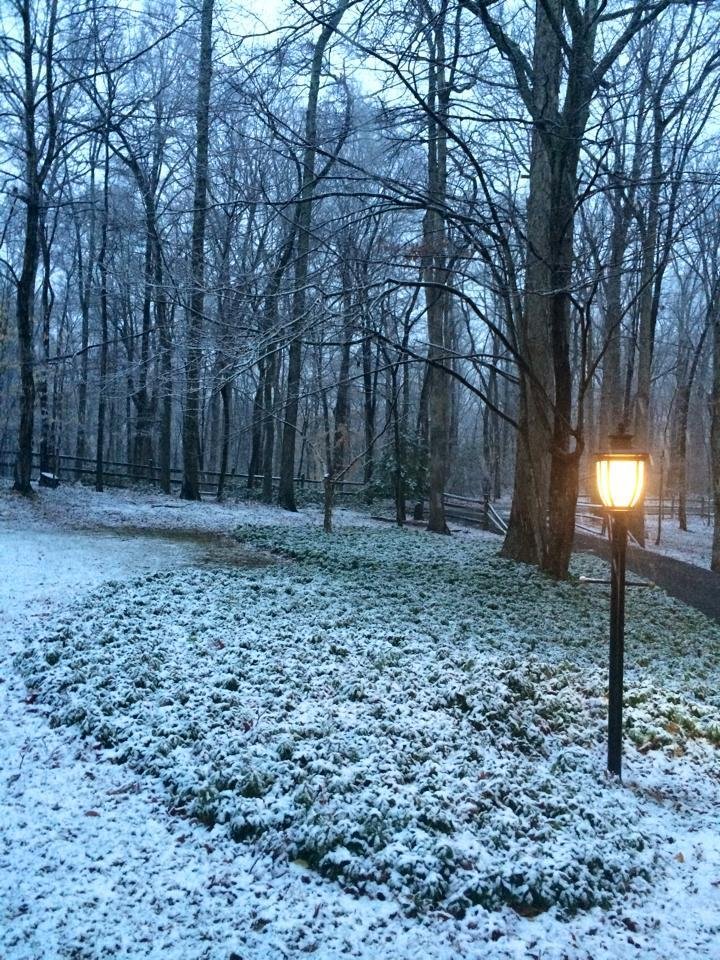 First day of Spring in Cliftn,Va