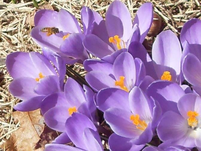 Sharon Johnson's album, Timeline Photos