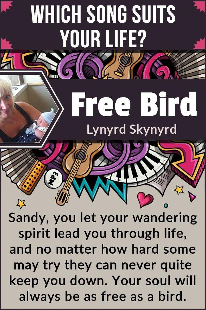 sandra gill's album, Timeline Photos