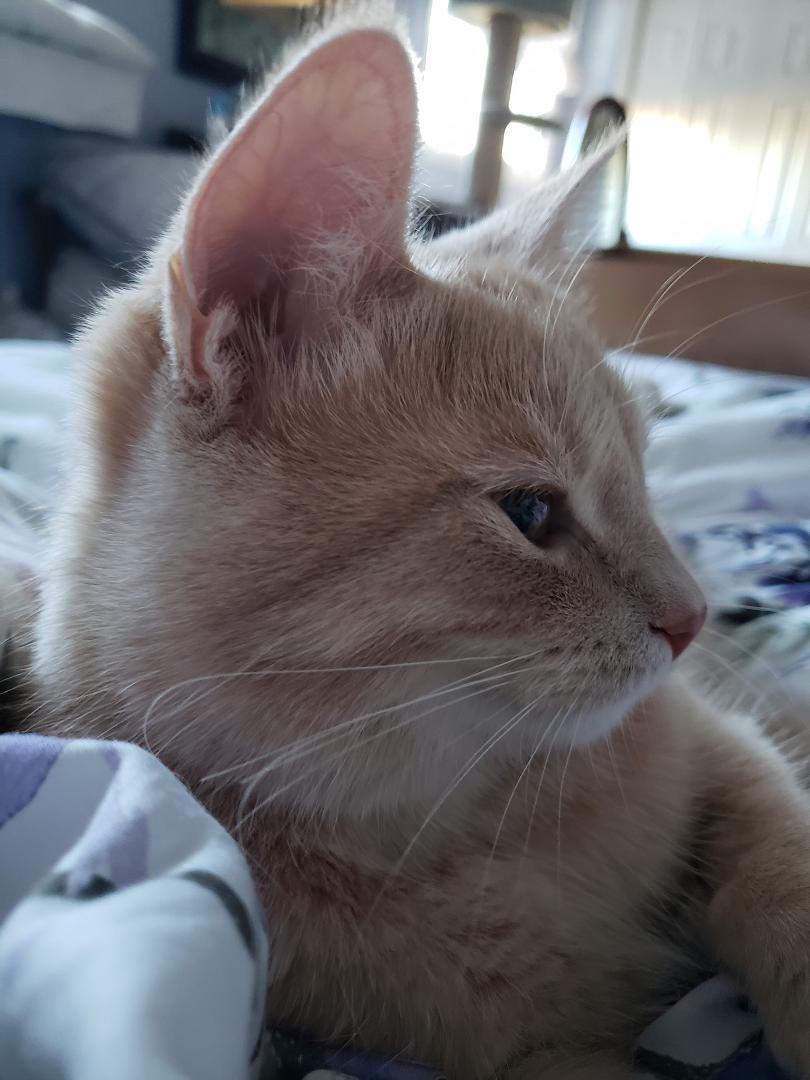 Buffy the new addition