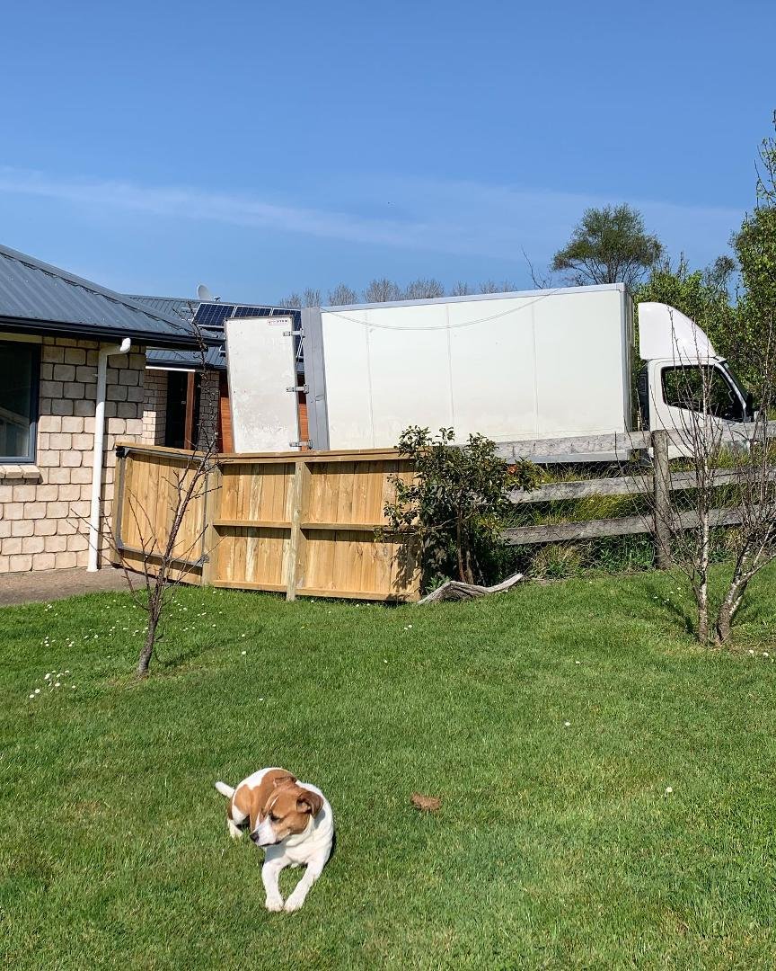 This is Ella. Ella hates delivery drivers. She hates it even more if they go into her house. Ella is not the least bit relaxed but she is also not freaking out. We have been working on her management skills. Five ⭐️effort t