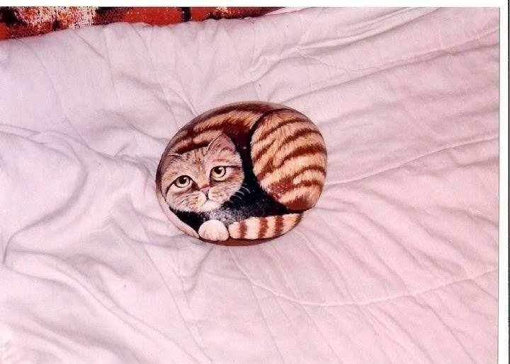 This is one of my better cats.