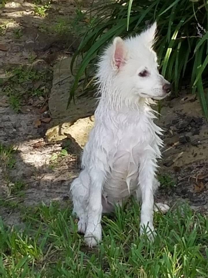 April Schwalbach's album, Timeline Photos