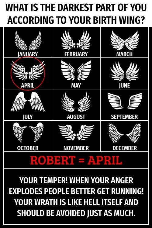 Robert Zajc's album, Timeline photos