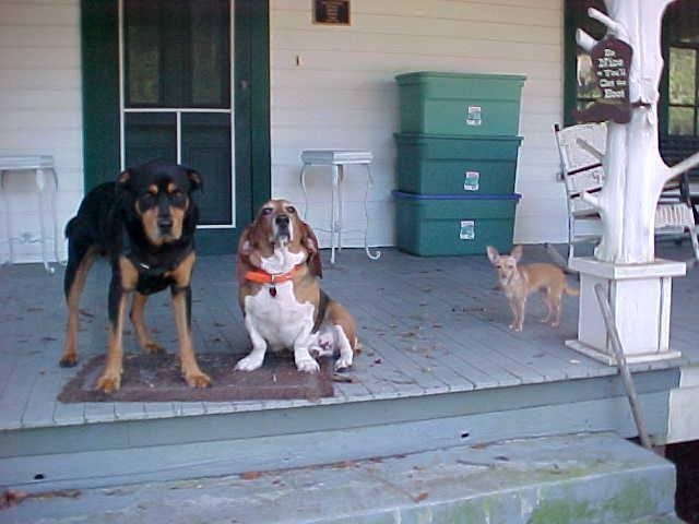 James Smith, Jr.'s album, Timeline Photos