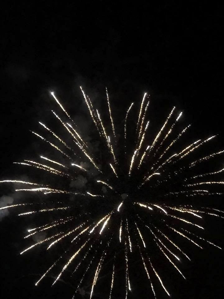Last night was the annual fire works show at Shaver Lake . I saw many old friends had a awesome time , but the most amazing moment of night was when the national anthem began all the young adults to include my own daughters