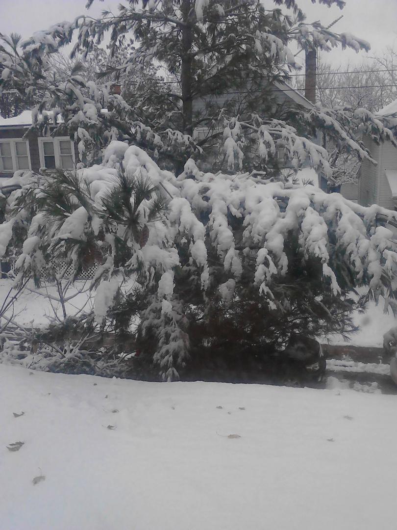 View out my window!  Oh wait, just wishful thinking.  This was last winter.  I hope it really piles up this winter!