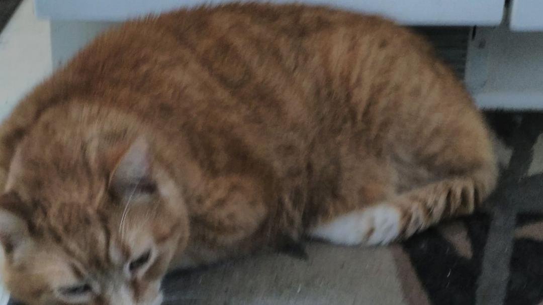Ming relaxing.