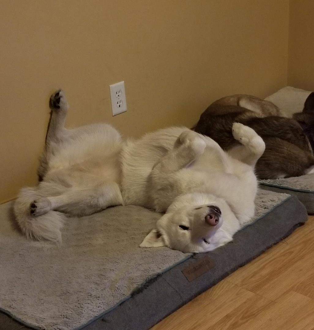 Ever been this comfy?