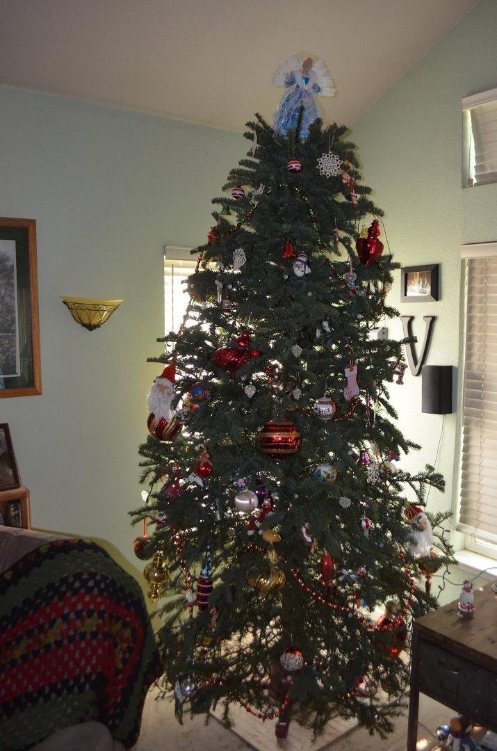 Wayne Johnson's album, Timeline Photos