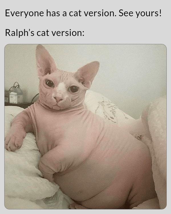 Puts a new spin on the term FAT CAT...huh?