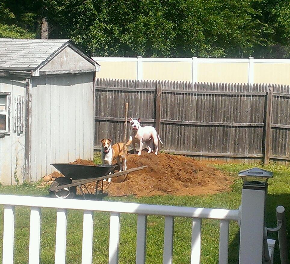 King of the hill