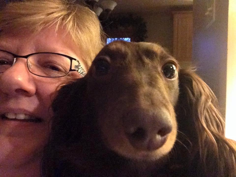 Julie Wise's album, Mobile Uploads