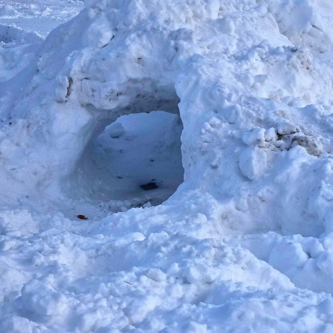 Today's Word:
Whatever you want
59 years ago Chicago had "The big snow".
What great memories of igloos, tunnels and snowmen. Kids are still being kids here today.