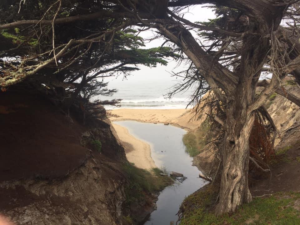 This is part of the golf course. Wild Definitely playing here next time I’m in town