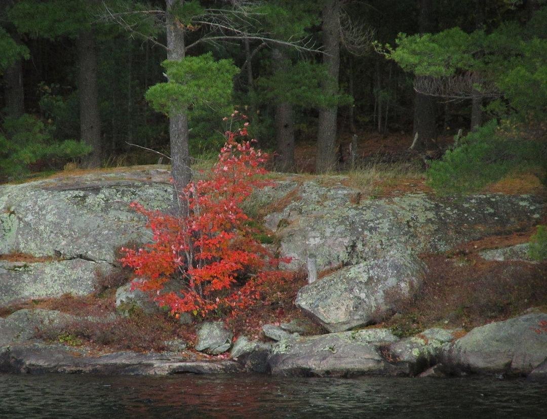 Michael Doyle's album, Muskoka in the Fall