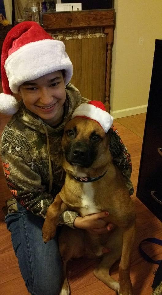 Tanner doesn't know what to think of the Santa hat!