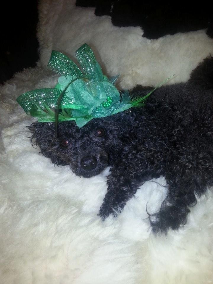 My little Irish princess