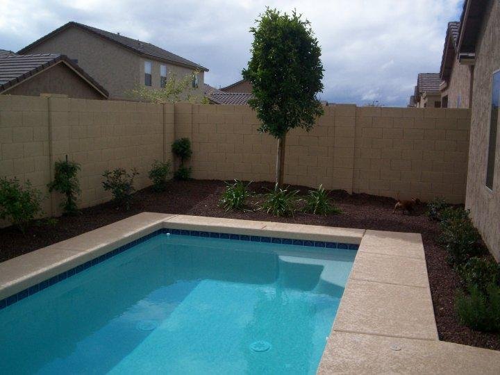 pool looking at fica tree --landscape