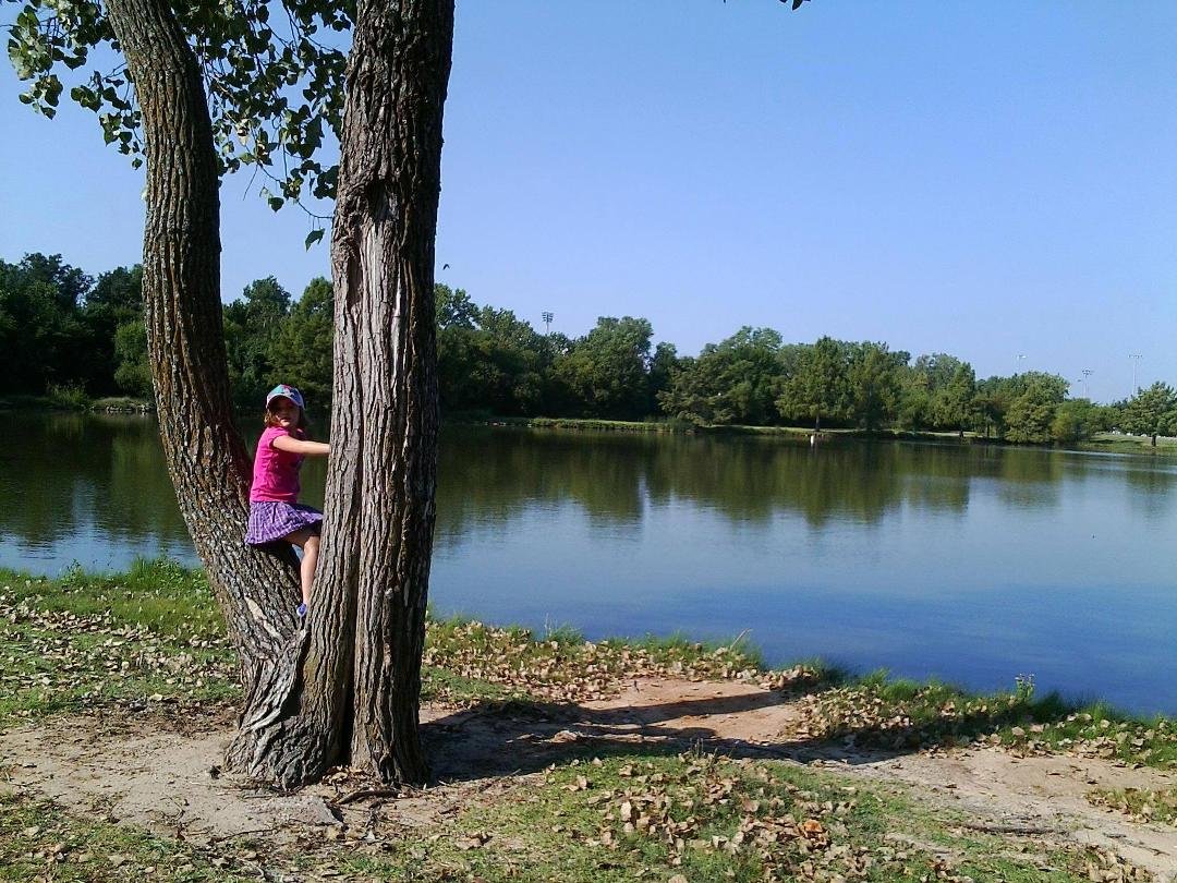 AMELIA OUR TREE CLIMBER
