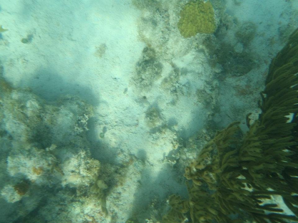 John Derbin's album, Cayman 2012
