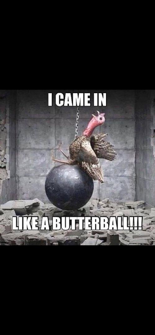 Happy Thanksgiving. Thought this was appropriate for me:)