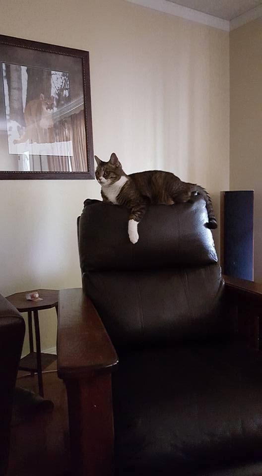She has  taken  over  my  chair  where  do I  draw the line?