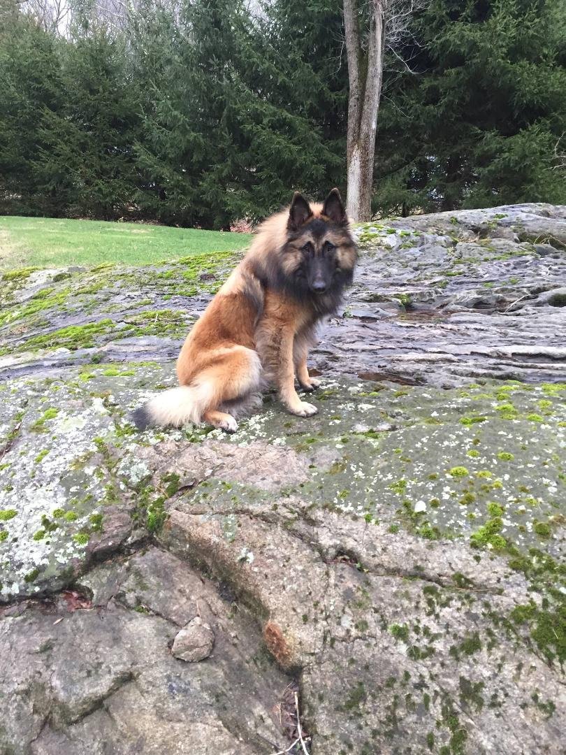 Gunnar on the rocks