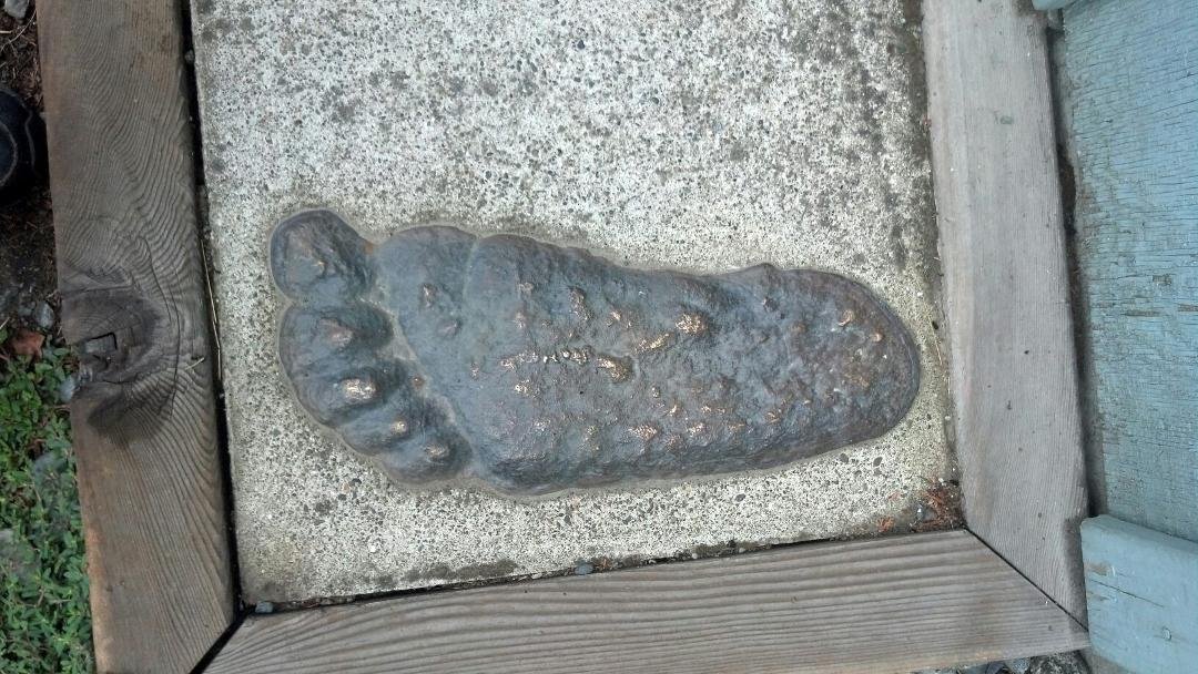 I found bigfoot