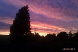 Rod Warren's album, Mobile Uploads