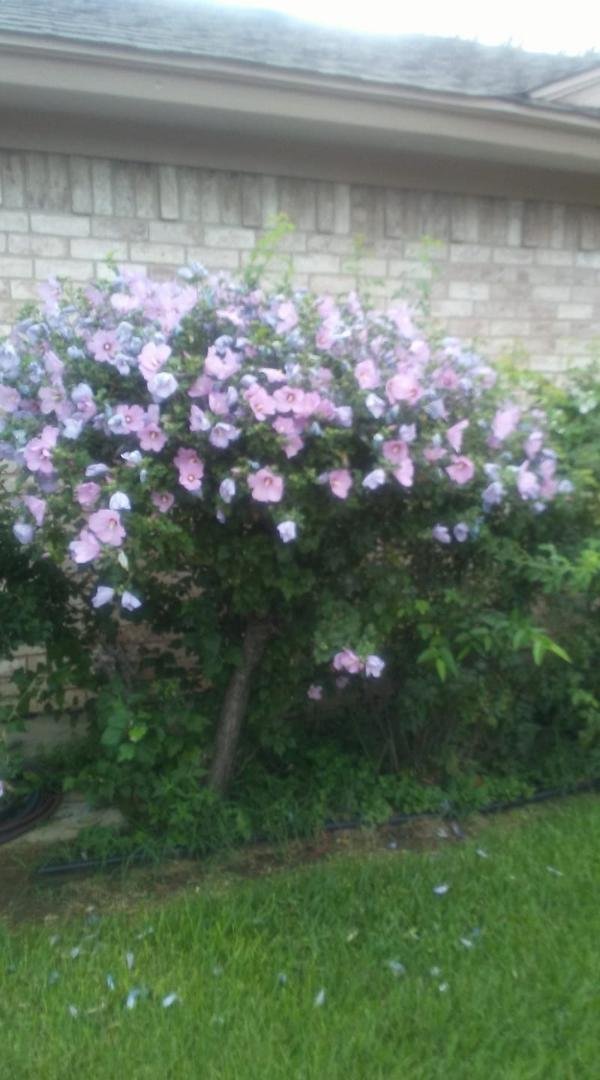 Robert McKibben's album, Timeline Photos