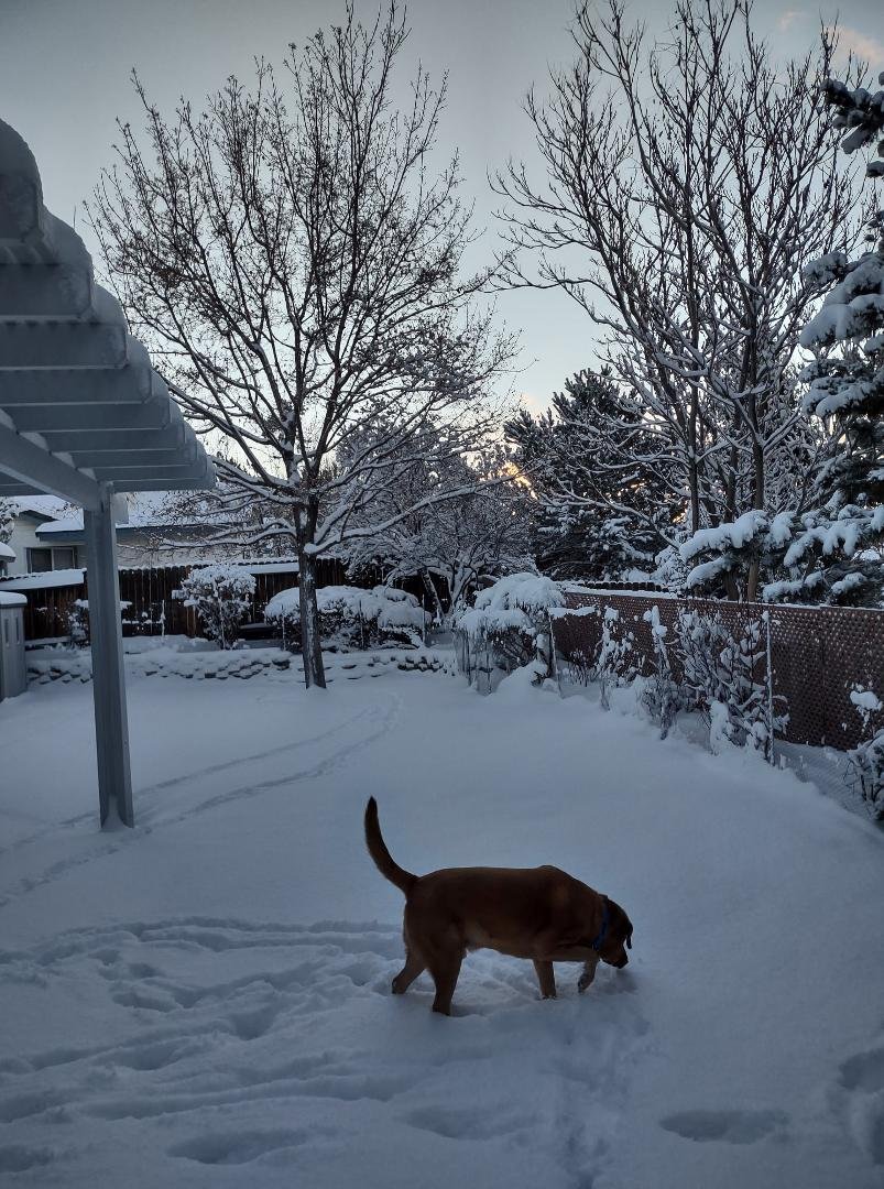 Yes, plenty of snow! ☃❄