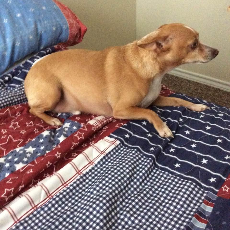 He,s happy just had a bath.,