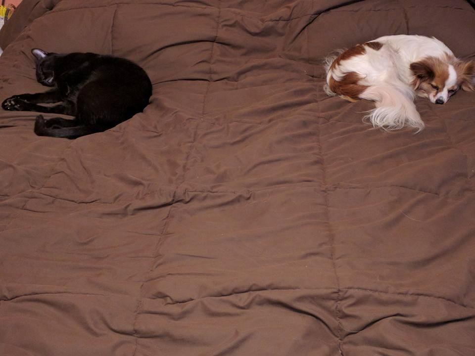 Sleepy heads do not want to wake up today.