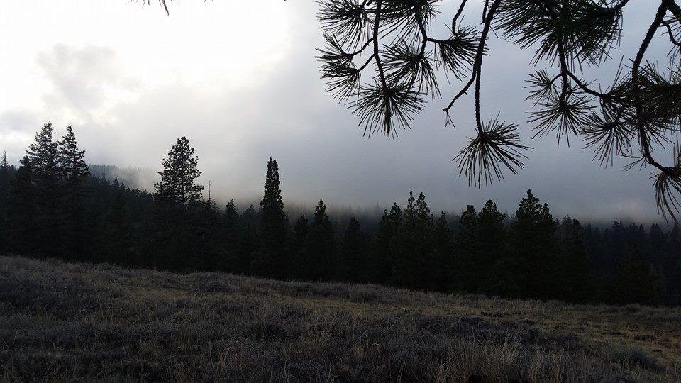 Fog moving in dam it hunt done for the day