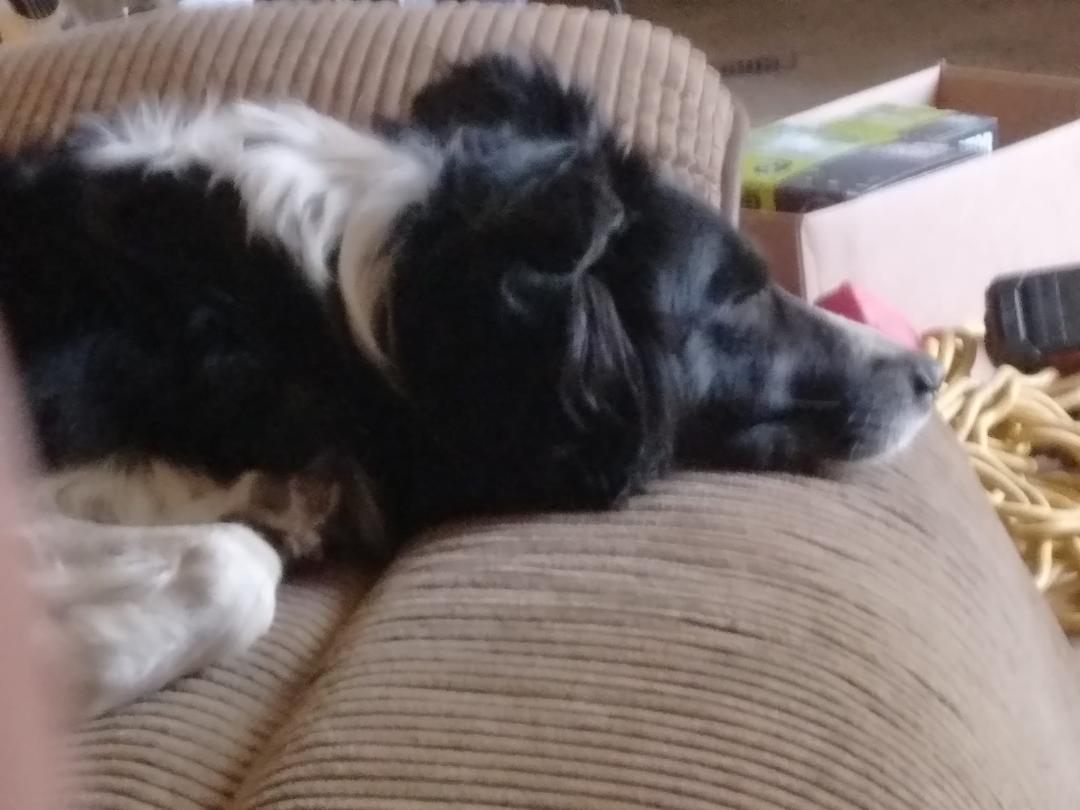 Not sure, but i think shes a little drowsy this morning.