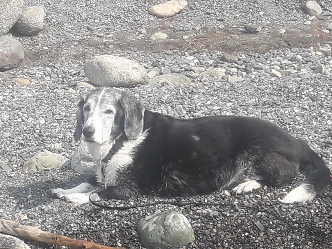 Day on the beach